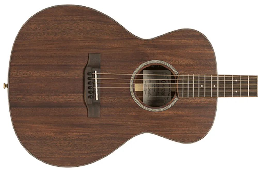 Bargain Crafter MIND T-MAHO Acoustic-Electric Guitar - Terry Carter Music Store