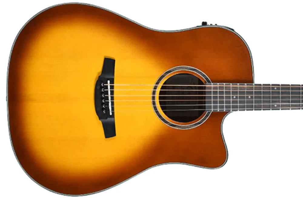 Crafter HG250-CE-BRS Acoustic-Electric Guitar - Terry Carter Music Store Special Discount