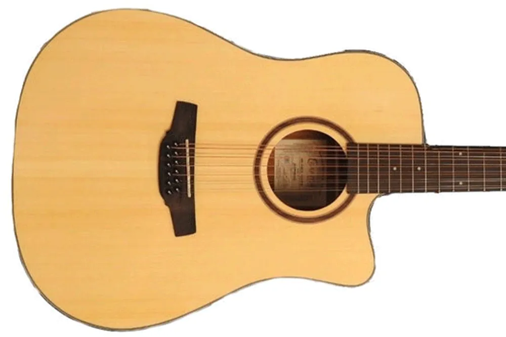 Crafter HD100-CE-N 12-String Acoustic-Electric Guitar - Terry Carter Music Store Price Cut