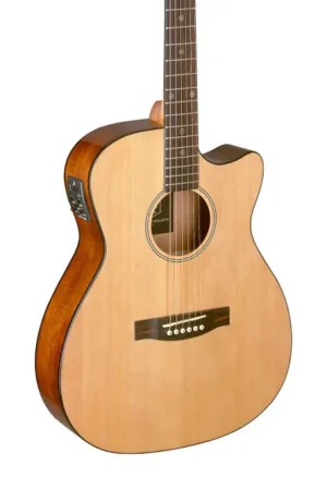 J.N Guitars Solid Spruce Top Acoustic Electric Guitar - Terry Carter Music Store Top Rated