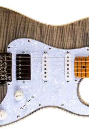 Jet JS-450 TBK Transparent Black Stratocaster Electric Guitar - Terry Carter Music Store Top Pick