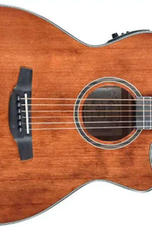 Free Returns Crafter HT250-CE-BR Acoustic-Electric Guitar - Terry Carter Music Store