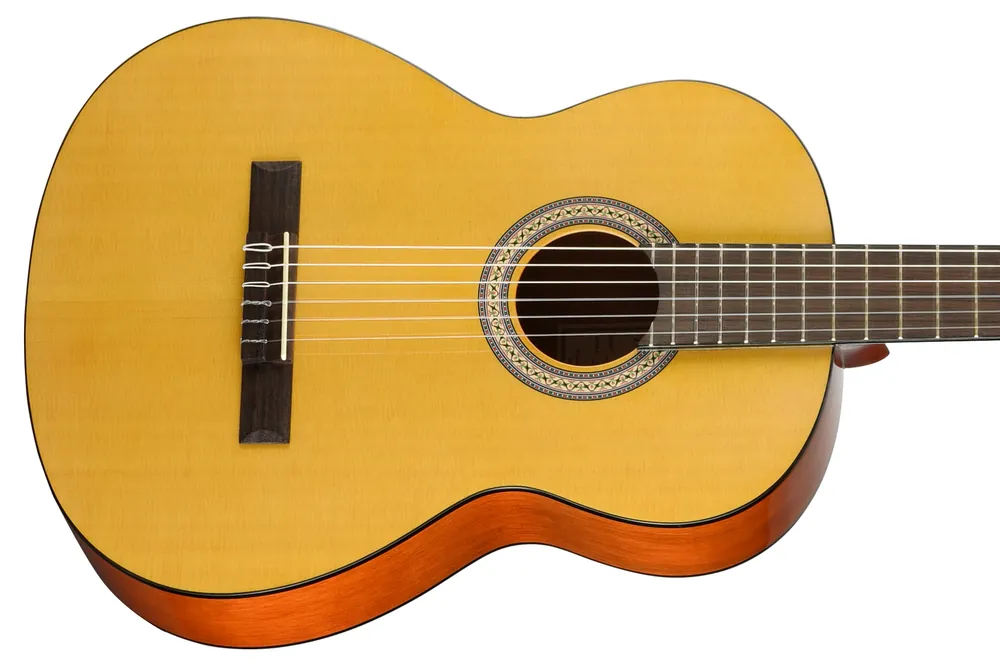Markdown Walden N350 Classical Guitar - Terry Carter Music Store