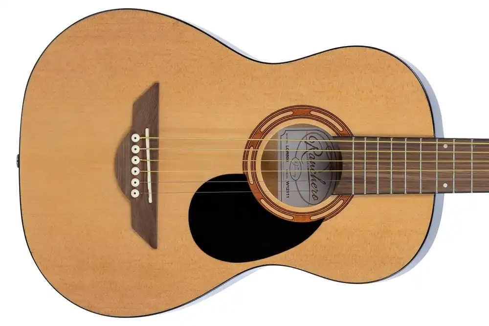 Secure Checkout H. Jimenez LGR50S Half Size Guitar - Terry Carter Music Store