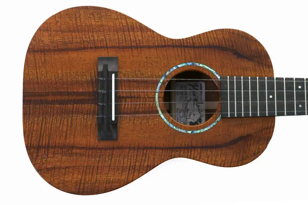 Worldwide Shipping Ko'olau T-100 Tenor Ukulele - Terry Carter Music Store