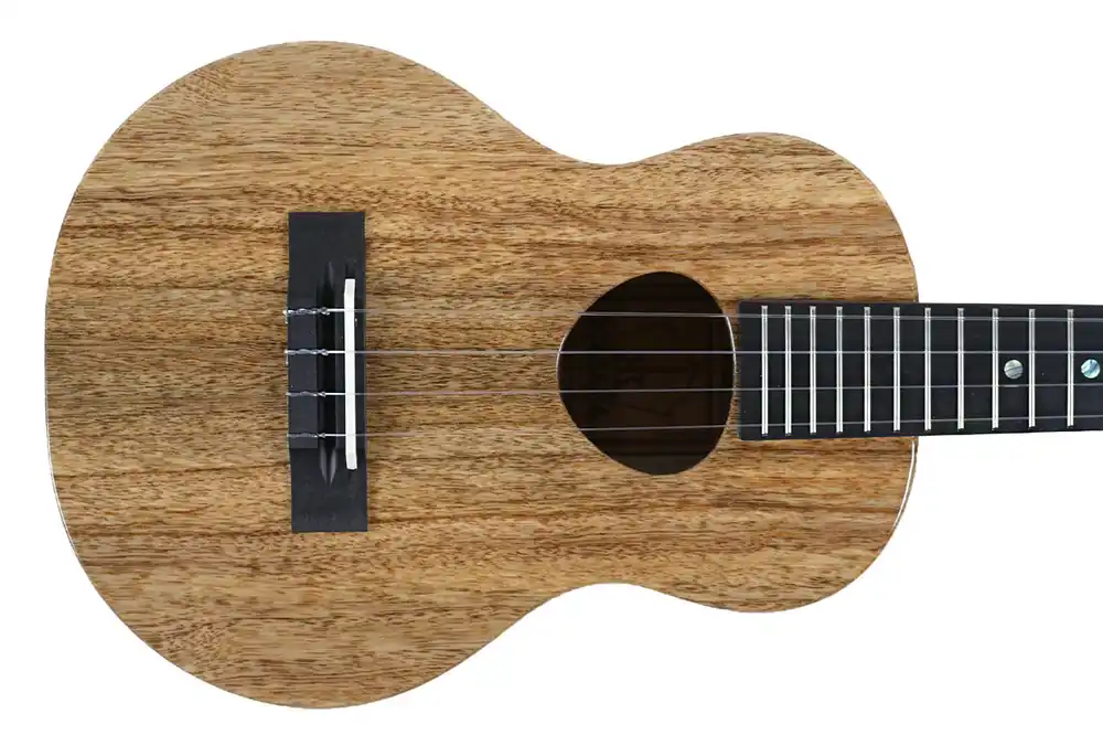 Budget KoAloha KTM-00MG Tenor Ukulele - Terry Carter Music Store