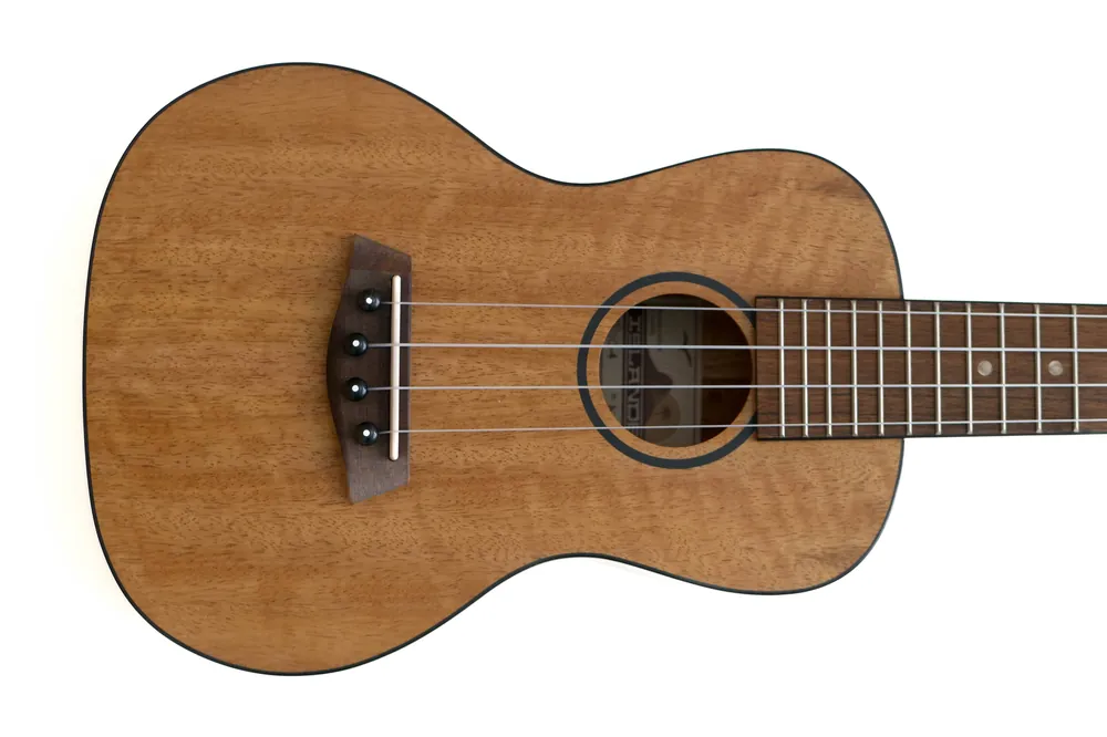 Weekend Sale Islander MOC-4 Concert Ukulele - Terry Carter Music Store