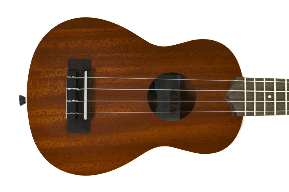 Popular Kala KA-S Soprano Ukulele - Terry Carter Music Store