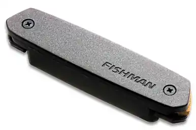 Heid Music | Fishman Neo-D Magnetic Soundhole Humbucking Pickup In Demand