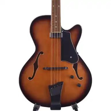 Free Returns Heid Music | Gold Tone Mandocello Acoustic Electric Hollow Body with Case