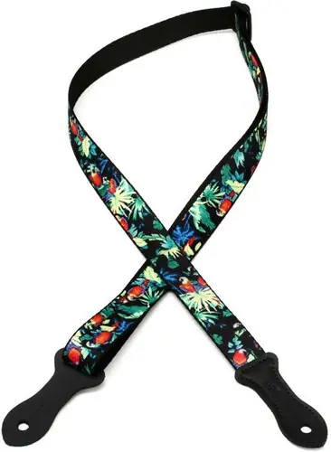 Limited Time Polyester 1"Mandolin/Ukulele Strap MP23UKE-006 : Levy's
