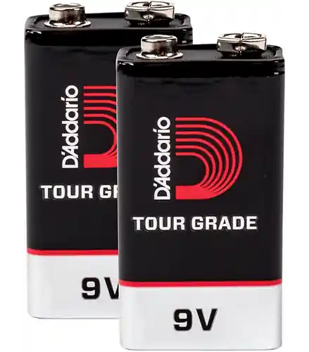 9V Battery 2 Pack PW-9V-02 : D'addario Direct From Manufacturer