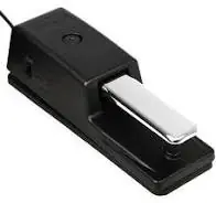 Final Sale DP-10 Damper Pedal : Roland