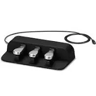 Don’t Miss Out SP-34 3-Pedal Board : Casio