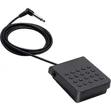 SP-3 Sustain Pedal : Casio Same Day Shipping