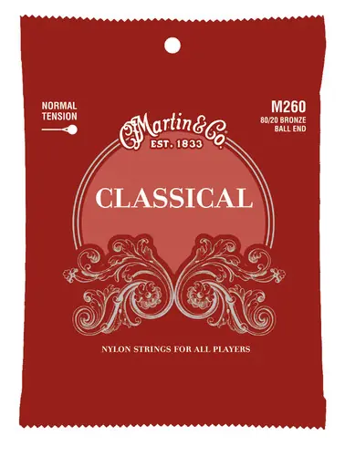 Budget M260 80/20 Bronze Classical Guitar Strings : Ernie Ball