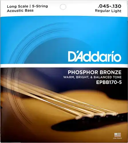 EPBB170 Phosphor Bronze Acoustic Bass Strings - .045-.100 : D'addario Cheap
