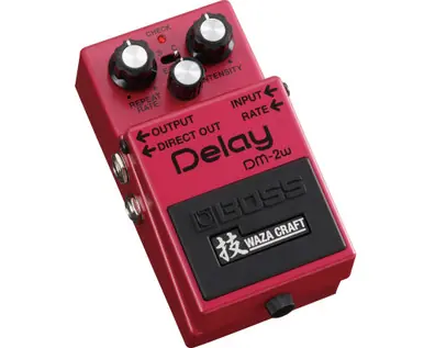 BOSS DM-2W Analog Delay Waza Craft Effect Pedal Next Day Delivery