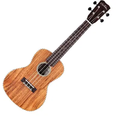 Express Delivery Cordoba 25C Concert Ukulele