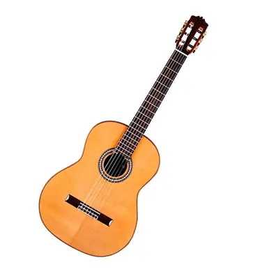 Cordoba C10 Classical Nylon String Acoustic Guitar Limited Offer
