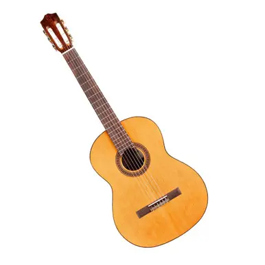 Price Drop Cordoba Left-Handed C5 CD Acoustic-Electric Classical Guitar