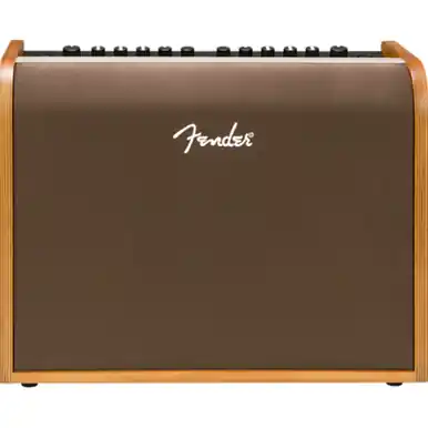 Fender Acoustic 100 Acoustic Guitar Amp Discount