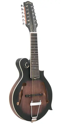 Save Now Gold Tone F-12 F-Style 12-String Acoustic-Electric Mando-Guitar with Case