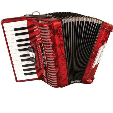 Same Day Shipping Hohner Hohnica 48 Bass Piano Accordion