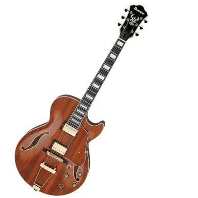 Ibanez Artcore Expressionist AG95K Hollowbody Electric Guitar Cheap