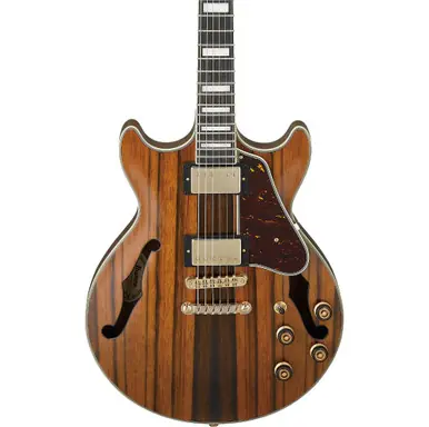 Special Offer Ibanez Artcore Expressionist AM93ME Semi-Hollow Electric Guitar