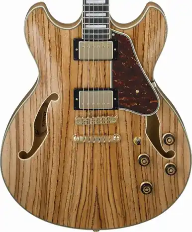 Markdown Ibanez AS93ZW Artcore Expressionist Semi-Hollow Electric Guitar
