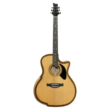 Riversong Guitars P2P-GA The River Pacific Acoustic-Electric Guitar Top Rated