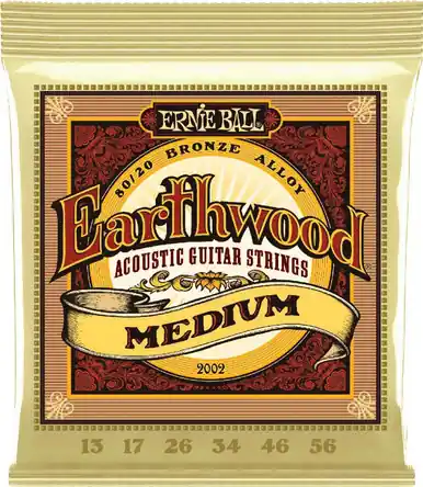 Ernie Ball Strings Guitar Earthwood Medium EARTH2002 High Quality