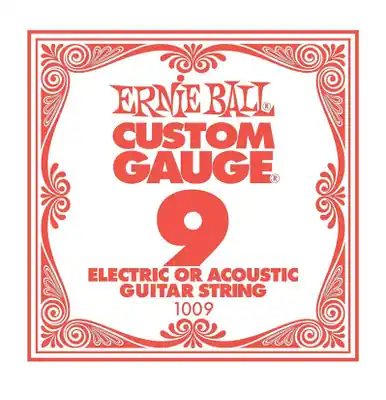 Ernie Ball String Guitar .009 Steel 1009ST Low Price