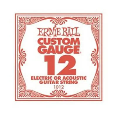 Discount Ernie Ball String Guitar .012 Steel 1012