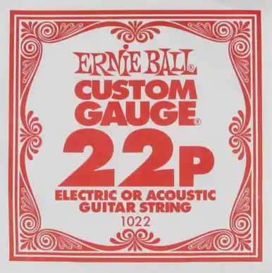 Express Delivery Ernie Ball String Guitar .022 Plain Steel 1022ST