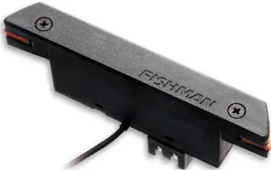 Fishman PRO-REP-102 Rare Earth Magnetic Acoustic Soundhole Humbucker Pickup Top Rated