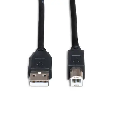 Hosa USB205AB High-Speed USB Cable - 5ft Viral