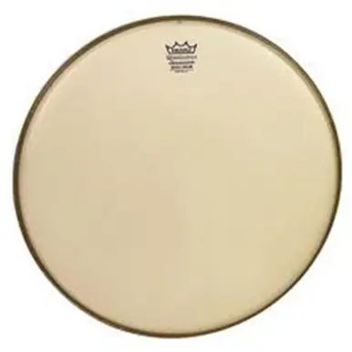 Editor’s Pick Remo RA-00 Drum Head Renaissance Ambassador