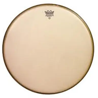 Remo SA-00 Concert Snare Drum Head Renaissance Ambassador Snare Side Limited Time