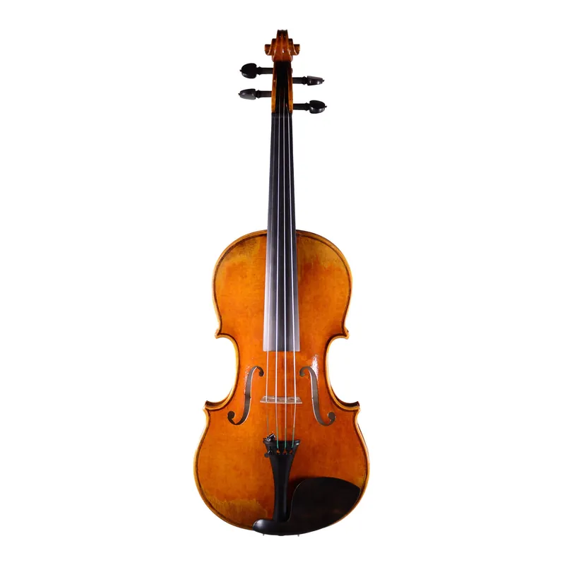 Fiddlerman Left Handed Master Violin Outfit Cheap