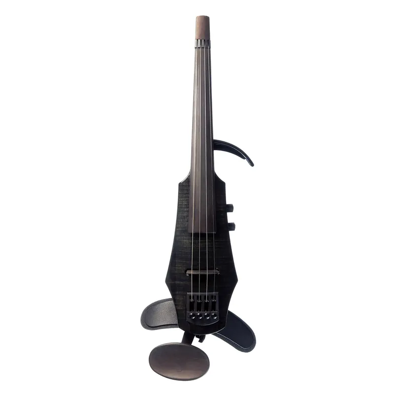 Express Delivery NS Design WAV 4-string Electric Violin