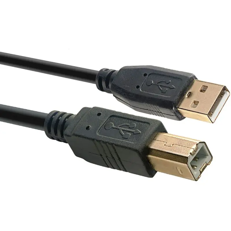 Express Delivery Stagg N Series 3m USB 2.0 Cable