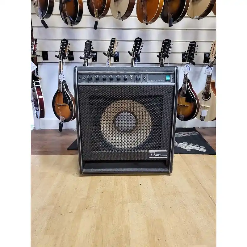 Ohm Graphic 60w Bass Amp. Clearance