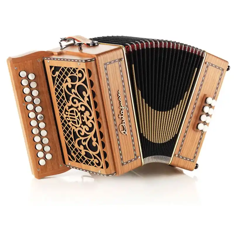 Final Sale Castagnari Dinn III B\\/C Melodeon, 1 Stop