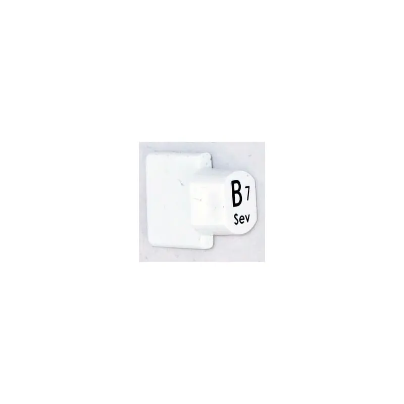Money Back Guarantee Ashbury Autoharp Key, B7