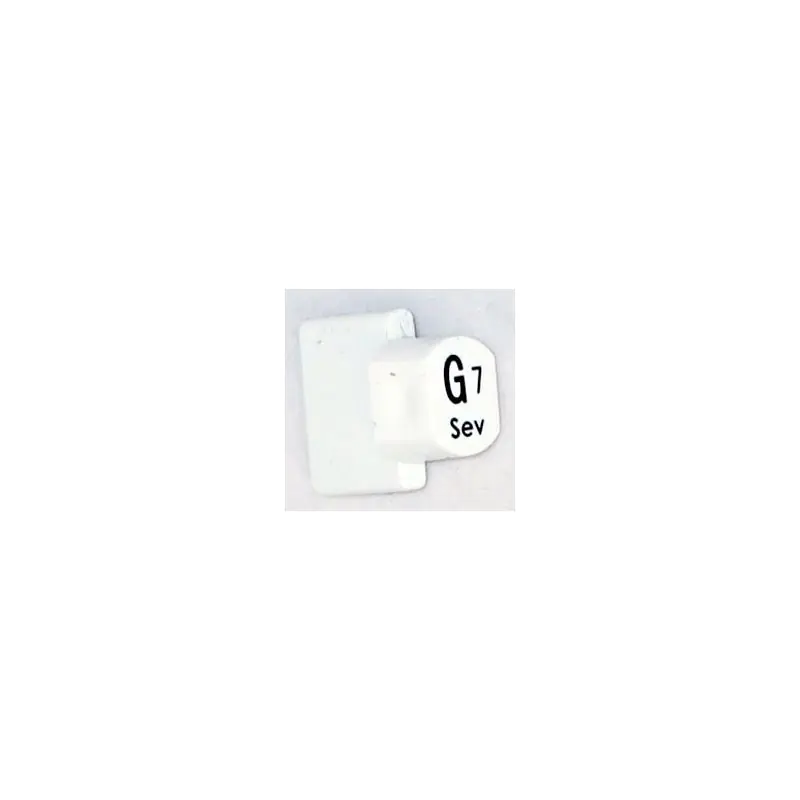 Best Price Ashbury Autoharp Key, G7