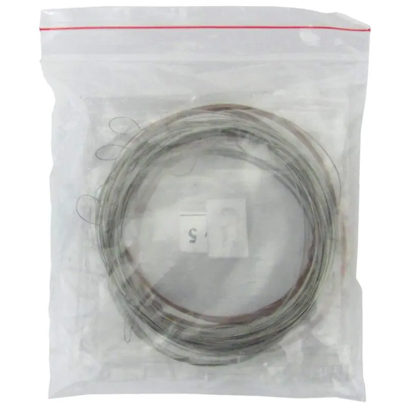 Atlas ASS-E10 Sitar String Set Limited Offer