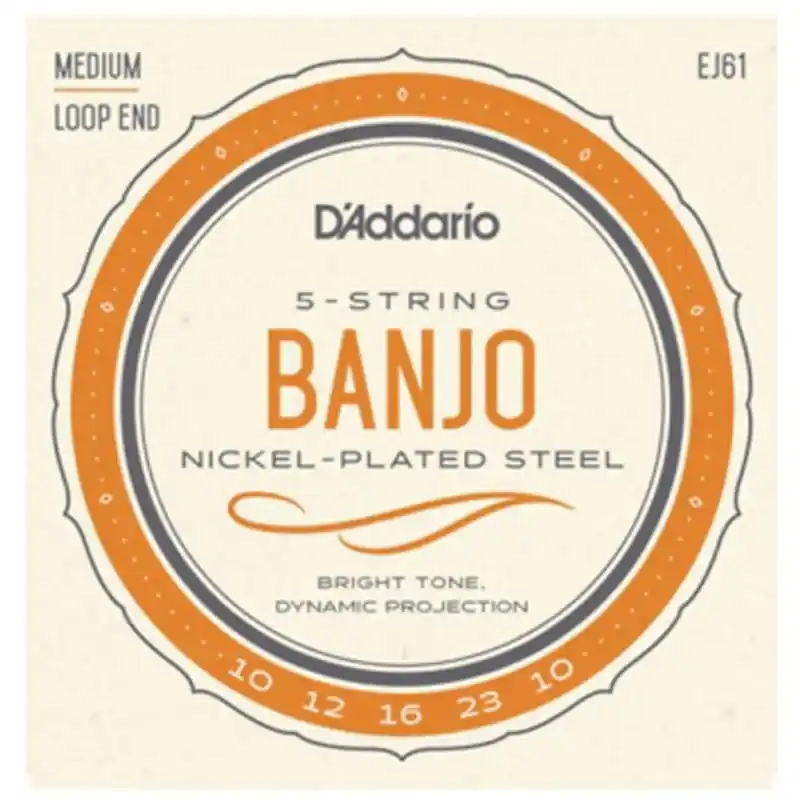 Exclusive D'Addario EJ61 5 string Banjo Strings, M