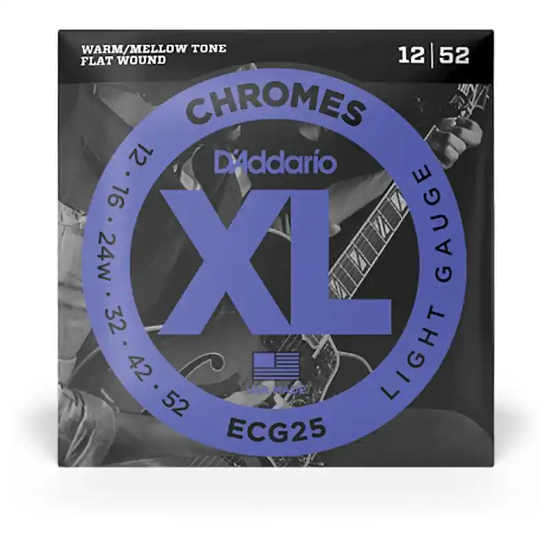 Don’t Miss Out D'Addario ECG25 Chromes Guitar Strings. Light